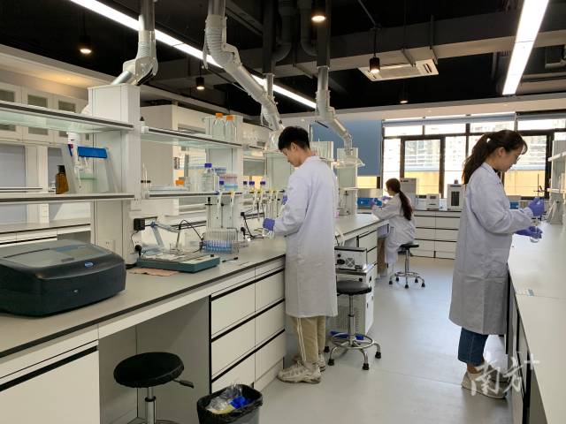 赢博手机入口“攀峰班”学生在开展实验探究。